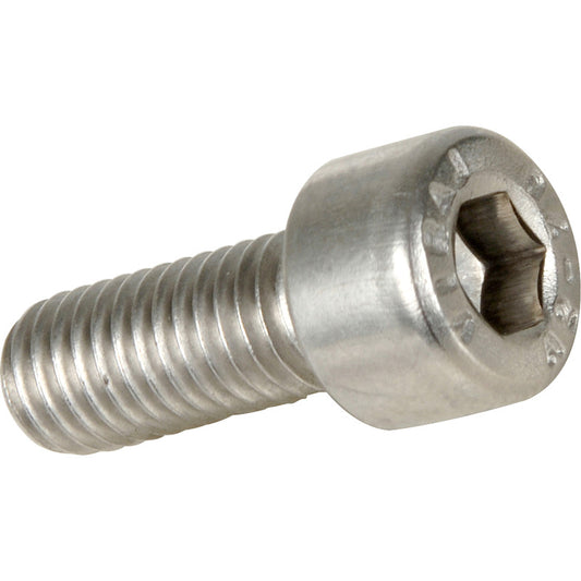 M6 X 25 Stainless Cap Head Screws